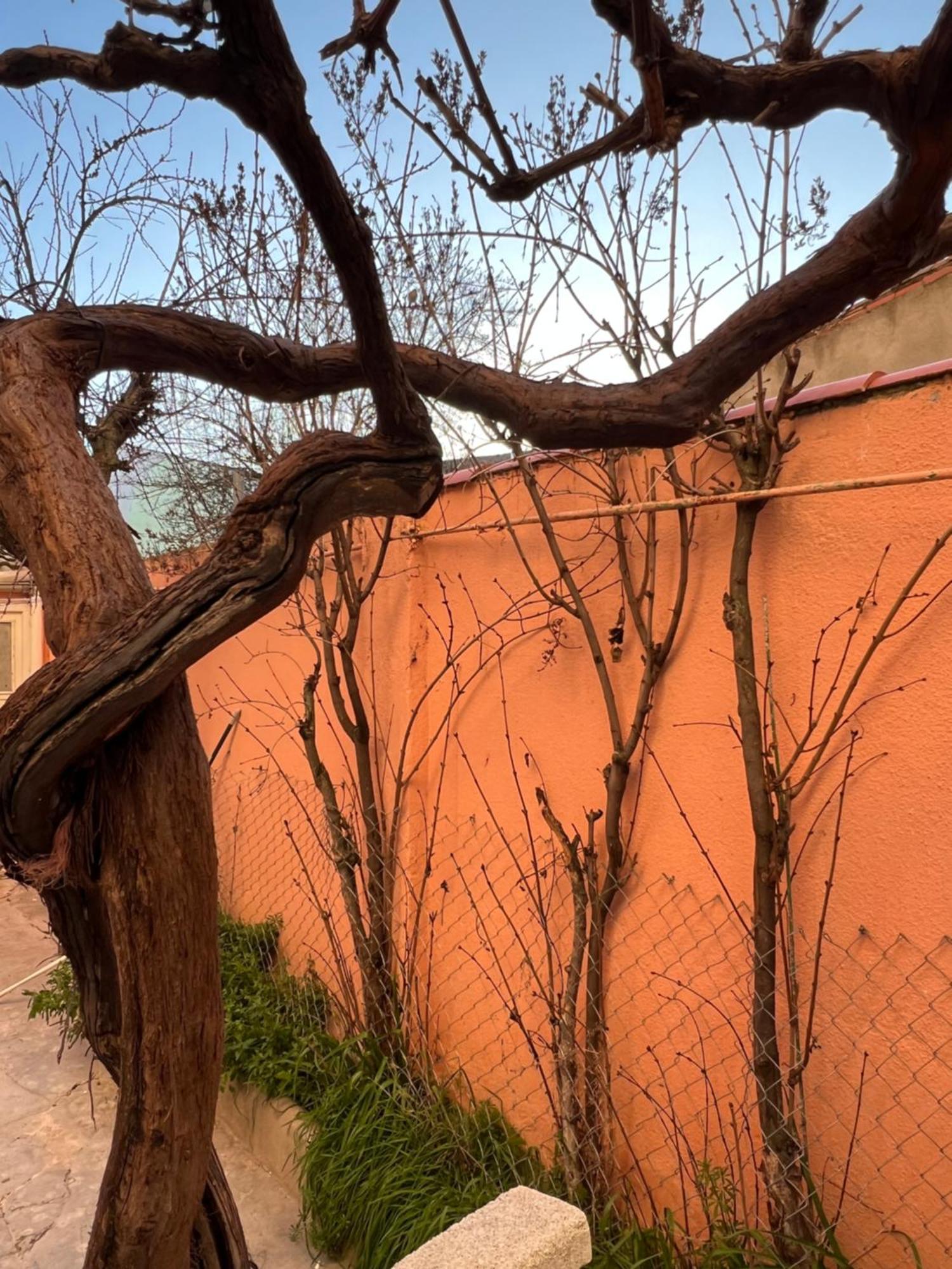 Zamora Enamora Apartman Kültér fotó
