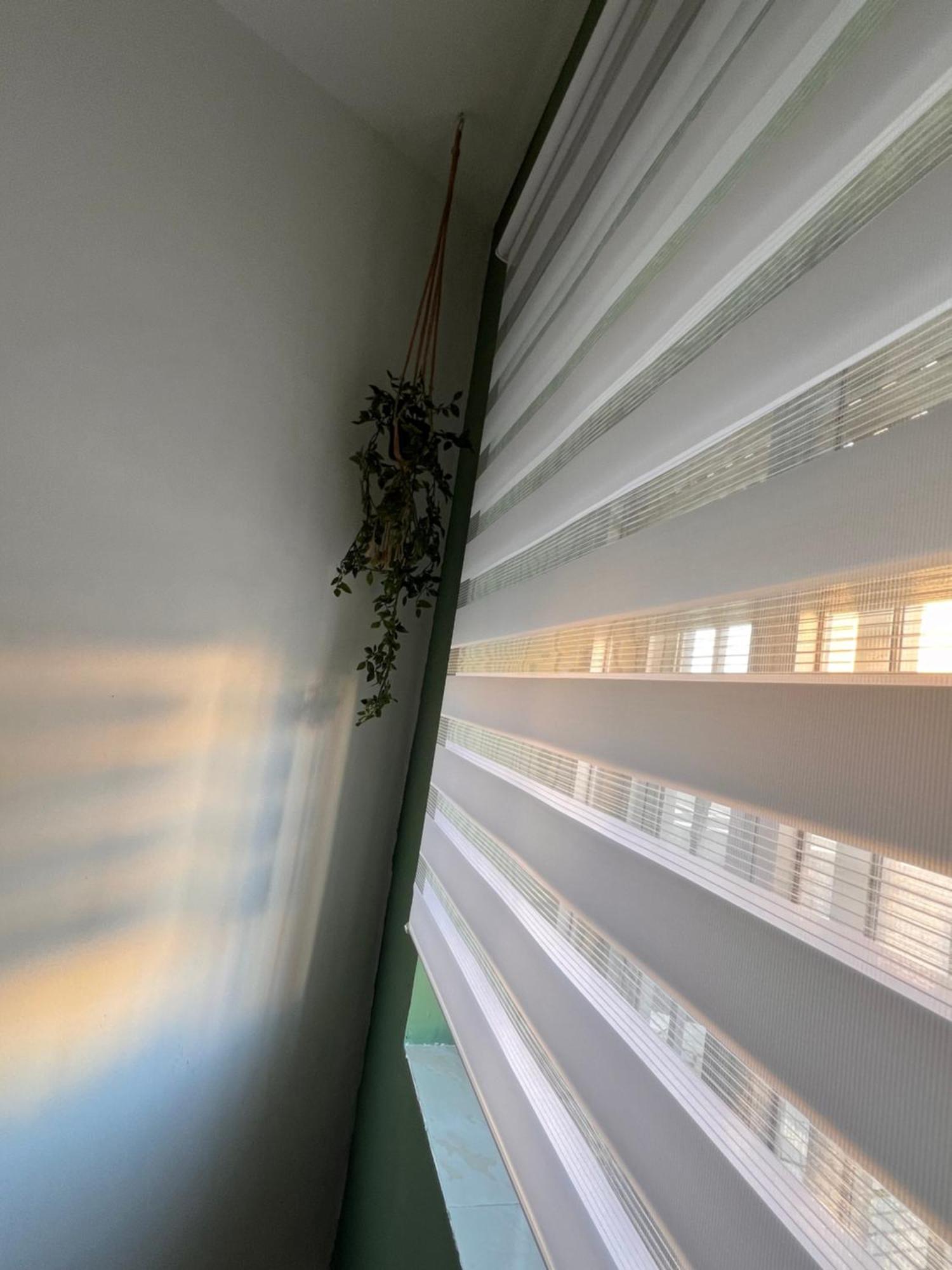 Zamora Enamora Apartman Kültér fotó